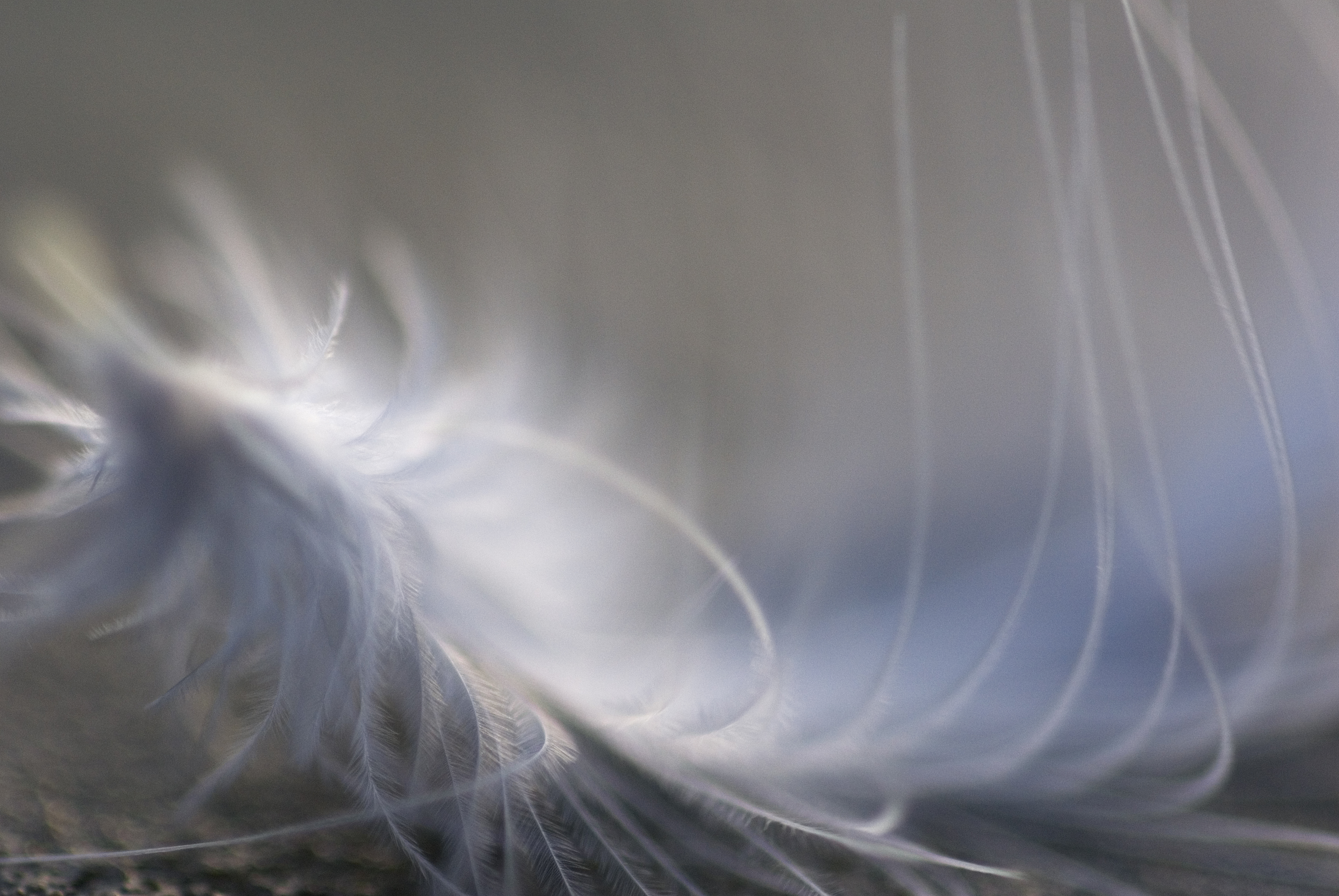 Lichter leven via Frequentie Transformatie